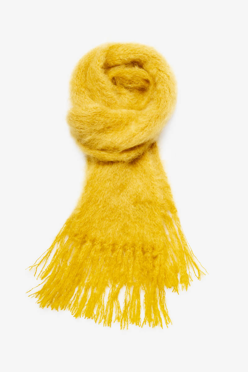 Cuddles-Mustard